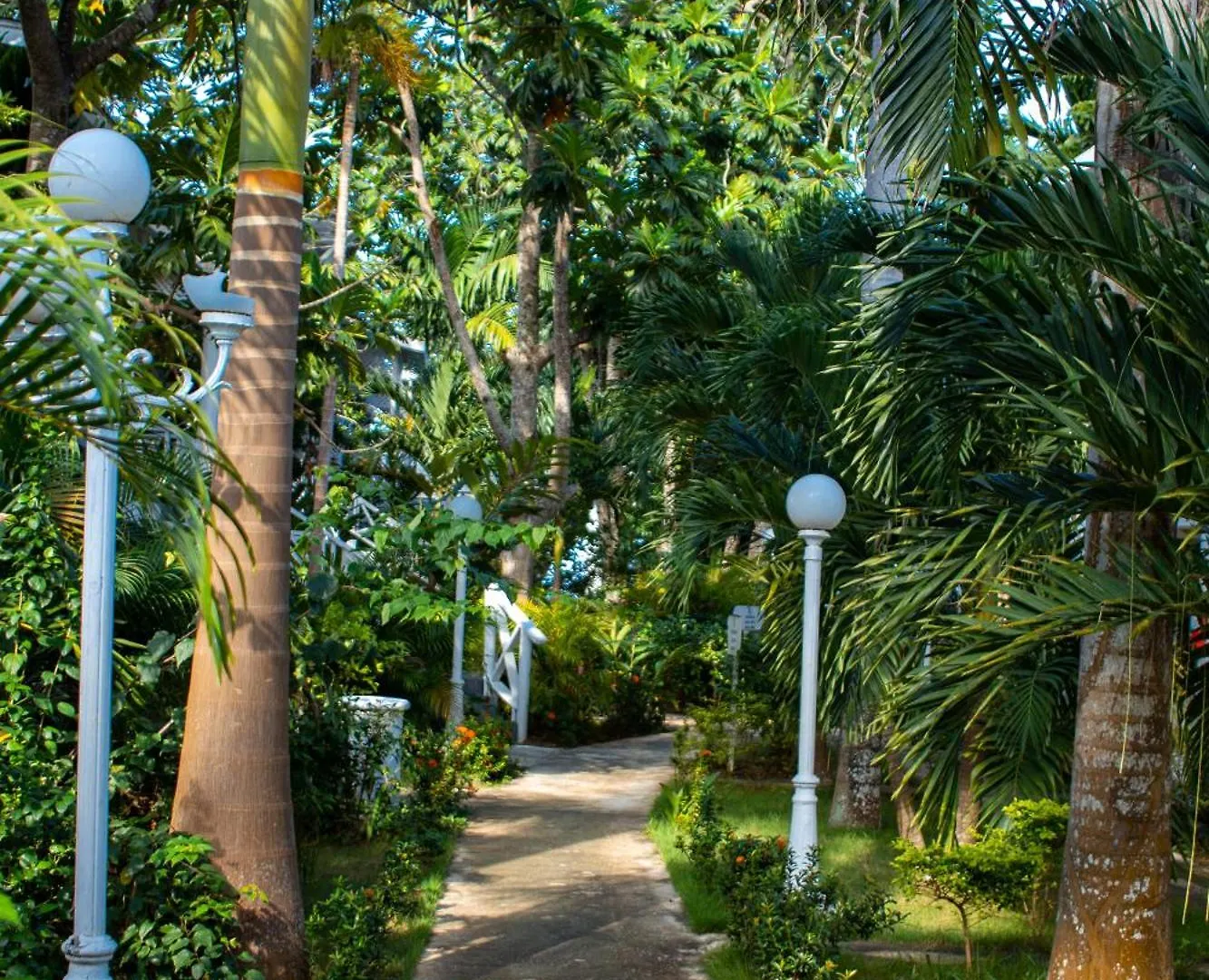 Merrils Deluxe At Veraclub نيغريل فندق